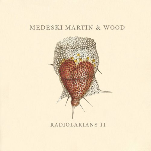 Radiolarians II | Medeski, Martin & Wood
